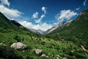 绿色山丘和草地的全景 背景是山脉。