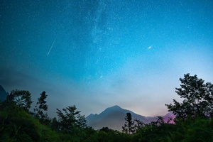 夜晚的森林 天空中繁星闪烁 背景是山脉。