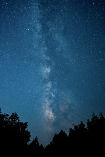 夜晚的森林 星空