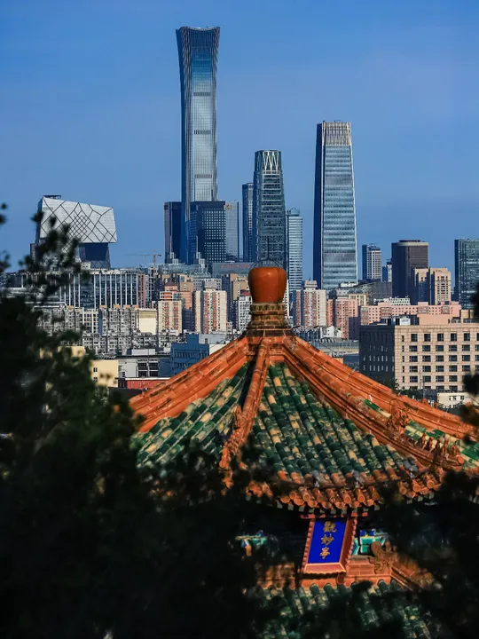 前景中有高楼和树木的城市天际线