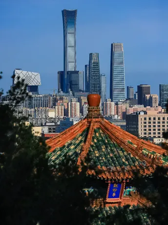 前景中有高楼和树木的城市天际线