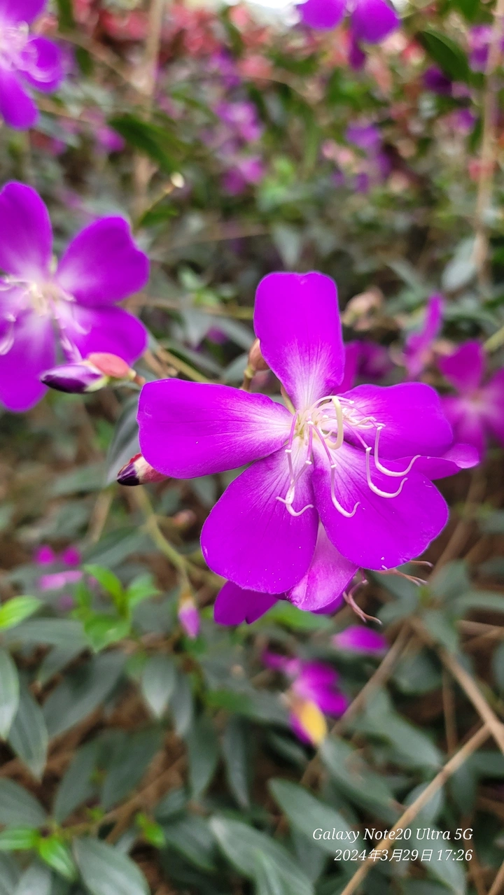 万物复苏的季节