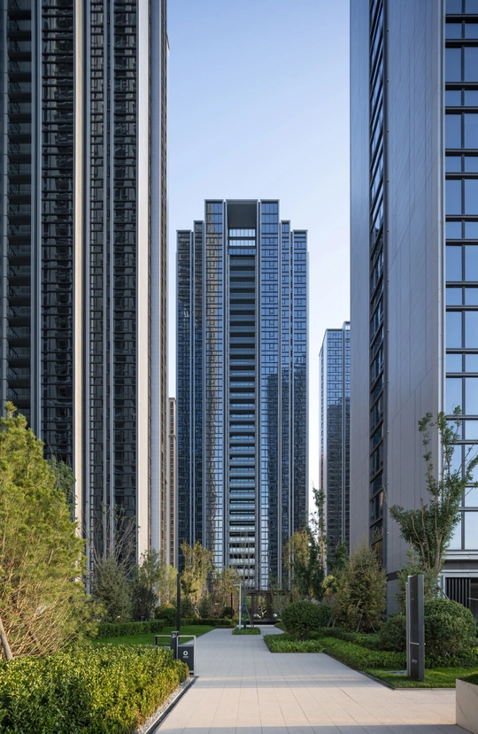 城市中一栋高楼前面的树木和步行道