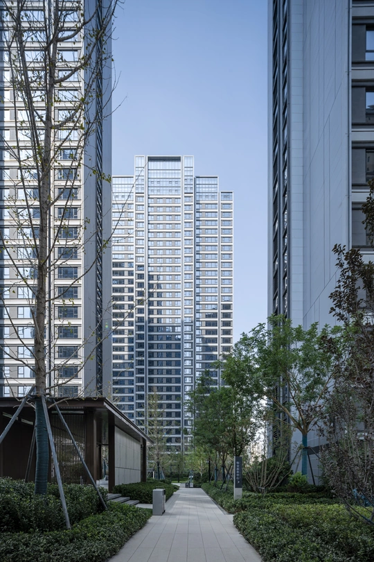 摩天大楼 摩天大楼 树木 通往公园的小径