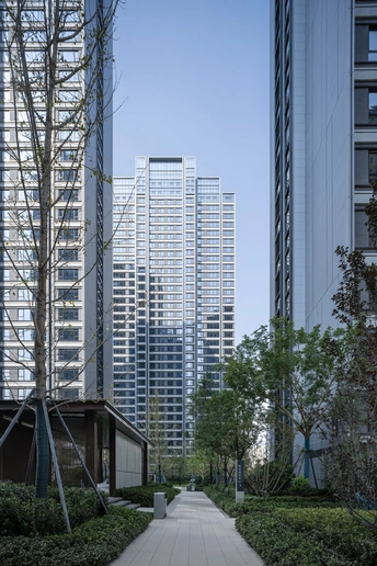 摩天大楼 摩天大楼 树木 通往公园的小径