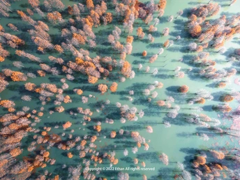 河边的 aerial landscape 树在蓝天下的