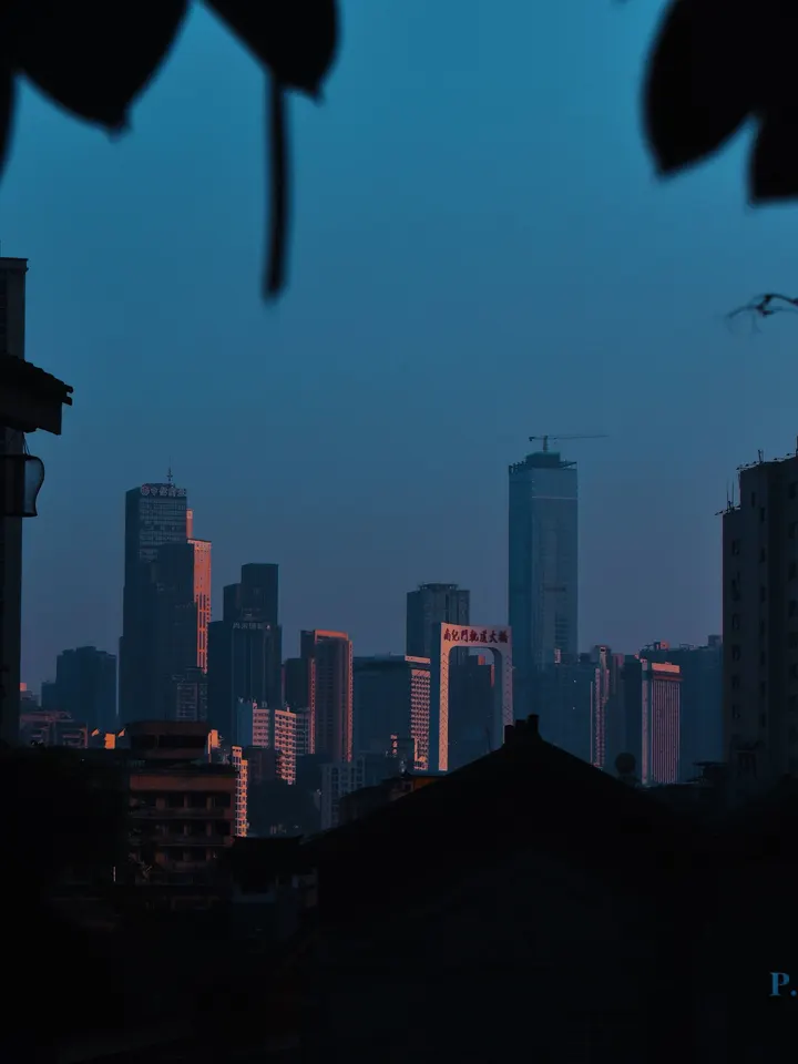 上半年总结