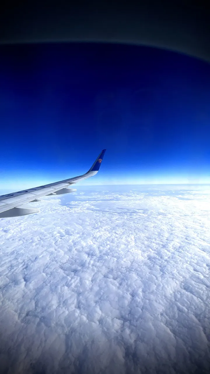 自由的天空