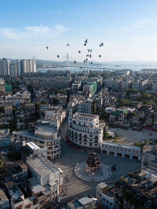 一座有许多建筑和鸟儿在空中飞翔的城市