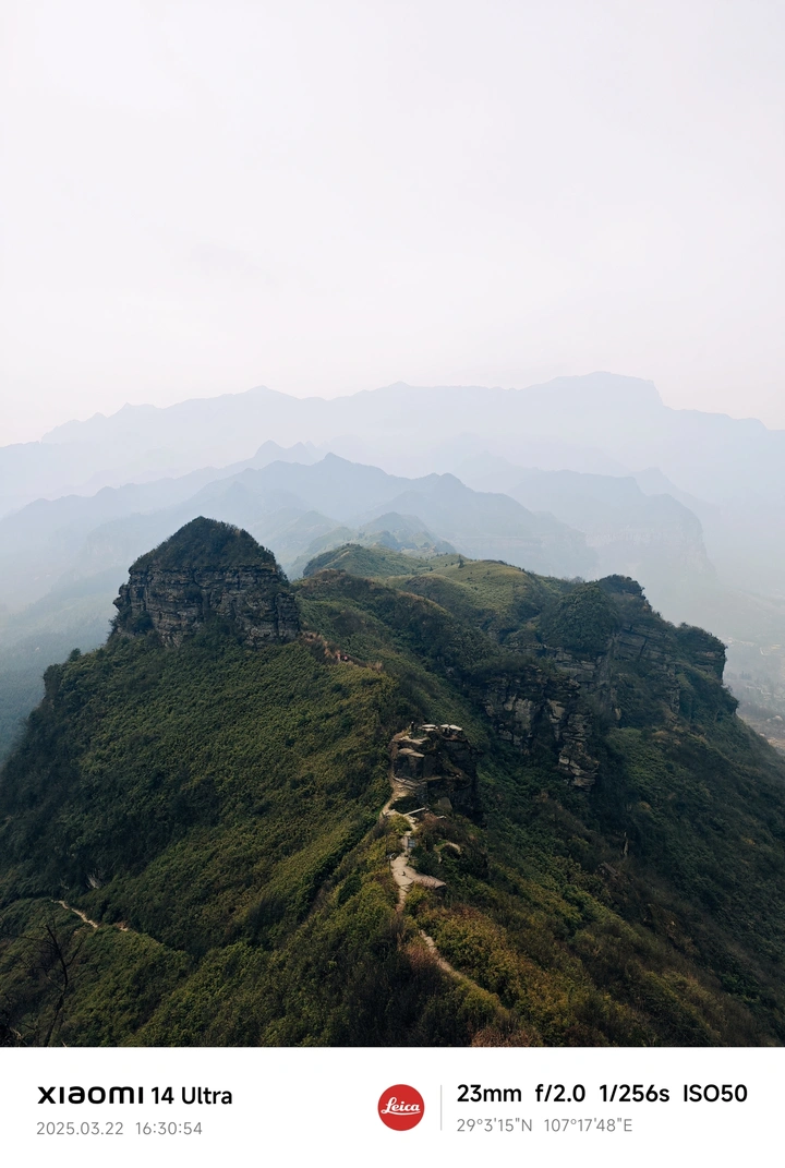 《分开旅行》