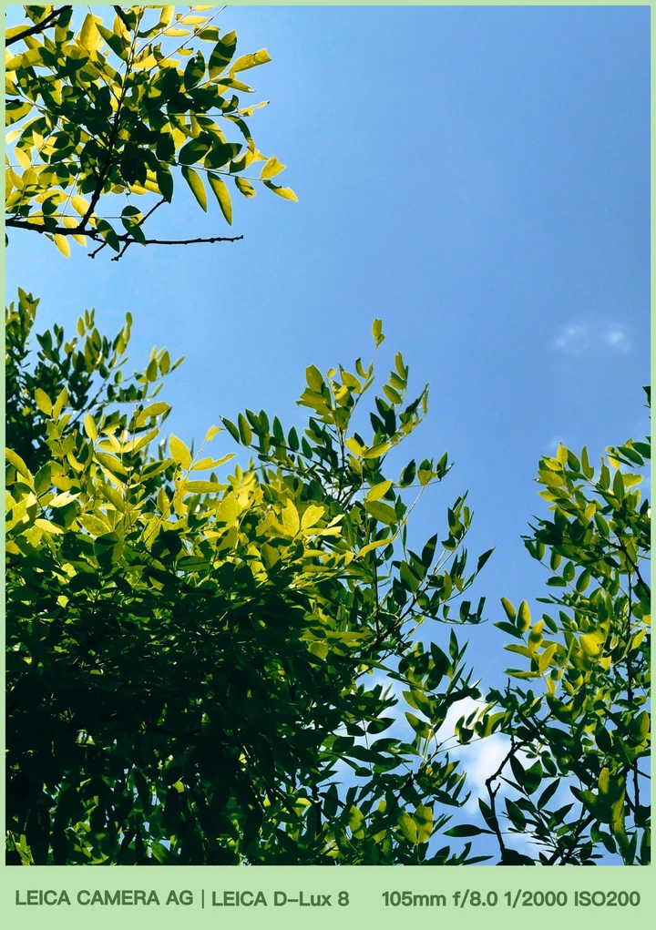 《分开旅行》