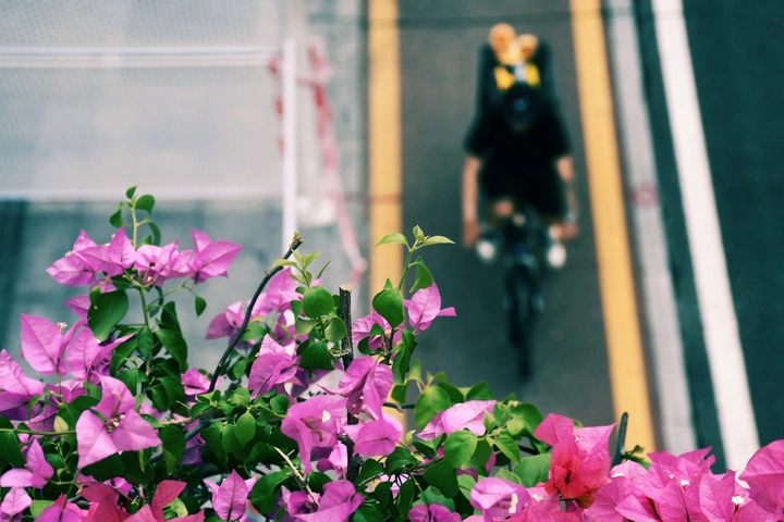 一路生花