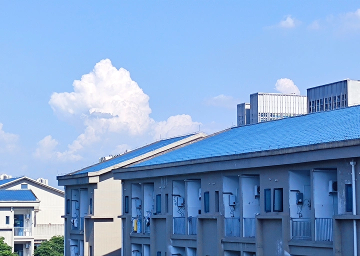 夏至已至