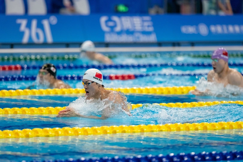 人们在游泳池里游泳