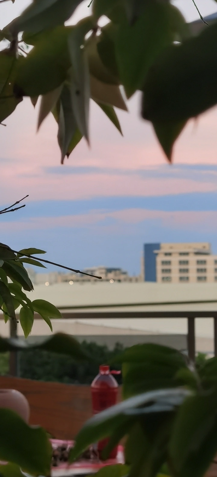 盛夏