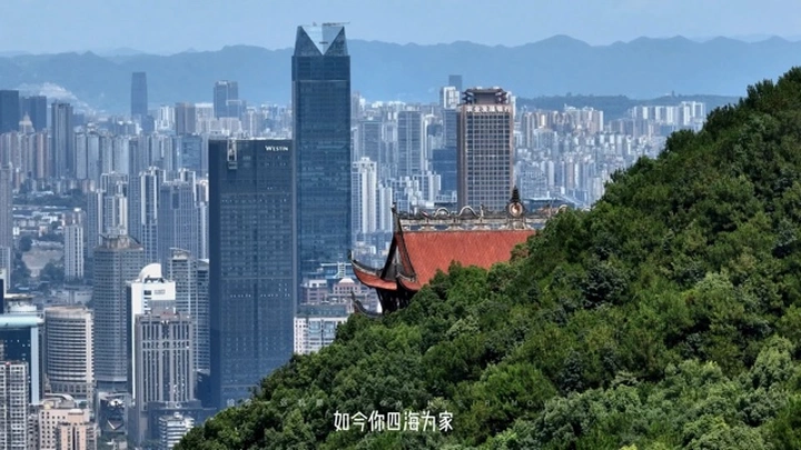 给你一张机票