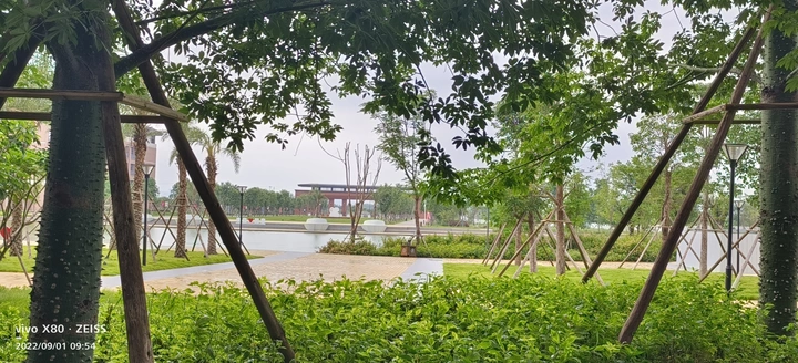 云边有个小卖部