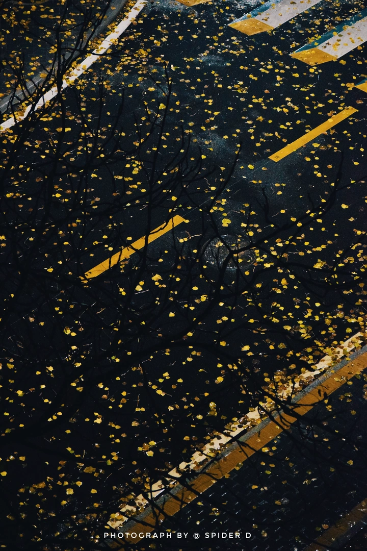 2019 北京的最后一场秋雨