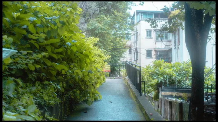探索广州日系场景