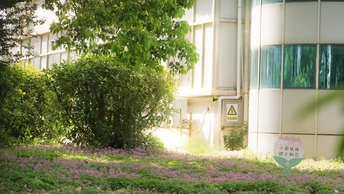 一片带有紫色花朵、一些树木和交通标志的绿地