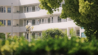 白色建筑和它前面的几棵绿树