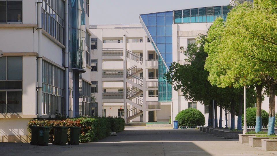 人行道 消防栓 树木 建筑