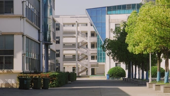 人行道 消防栓 树木 建筑