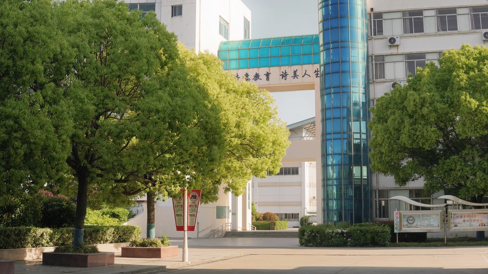 一条街道 城市中有高楼和树木