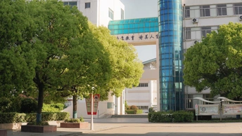 一条街道 城市中有高楼和树木