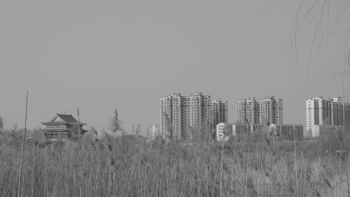 工程《淇河下游》