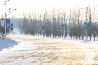 一个走在雪地上的男人 周围有树木、街灯和标志。