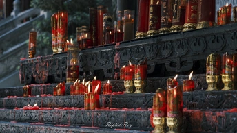 寺庙台阶上的一排红色雨伞