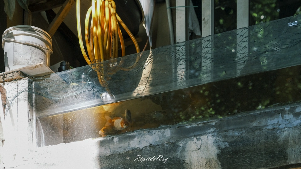 地上的一堆物品