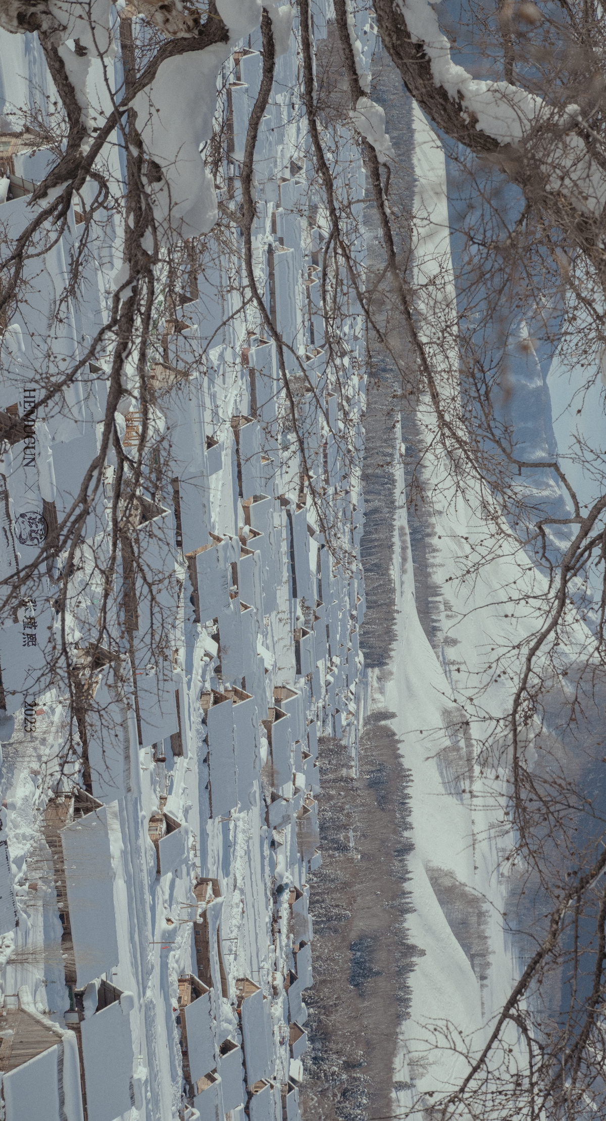 一条有围墙和树木的雪地小径