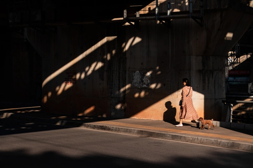 一个人在桥下街道上遛狗 有阴影