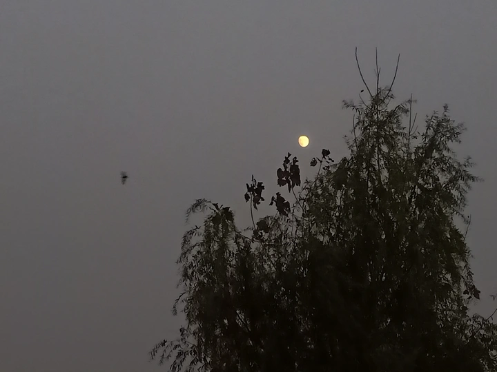 夜景