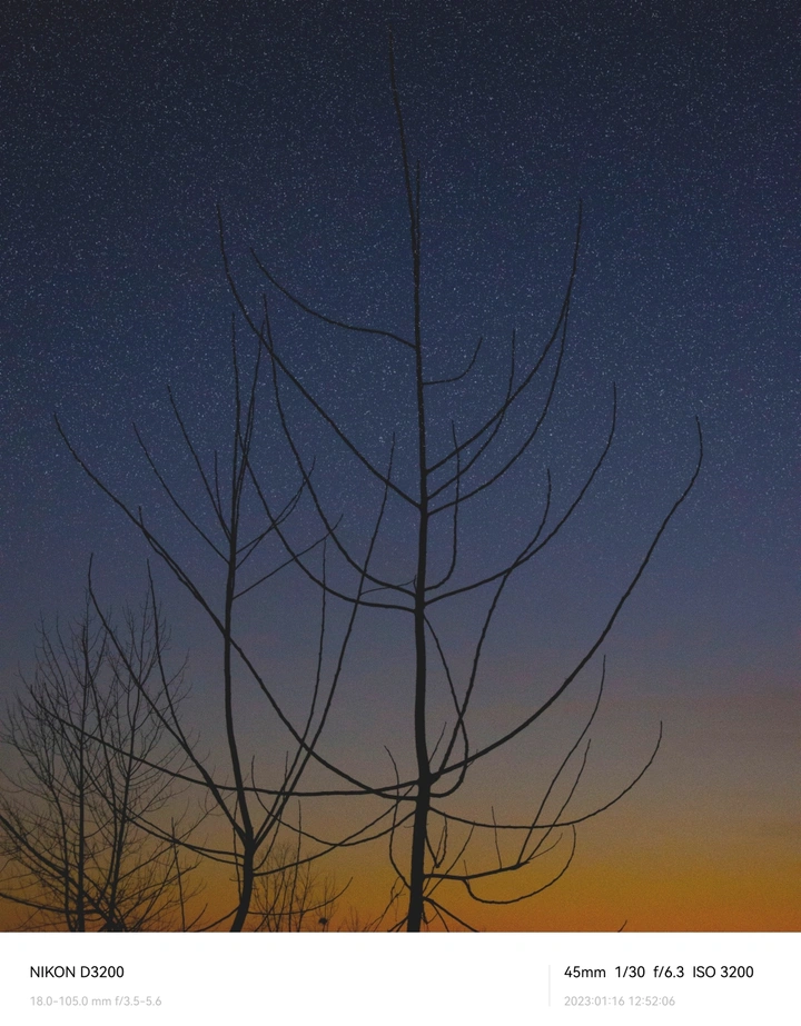 星空与树