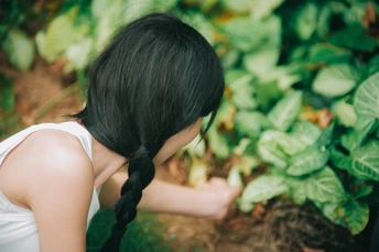 一位白发的年轻女子把手伸向一株绿色植物