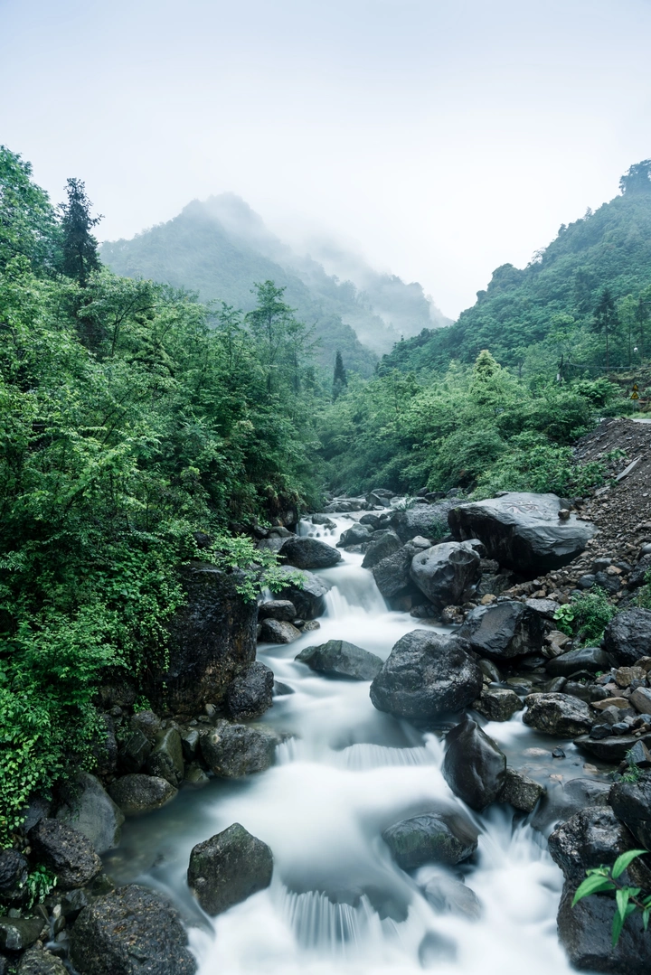 烟雨雾中山