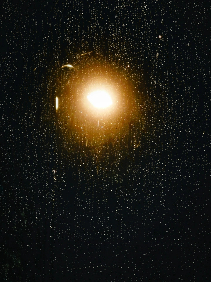 在雨季