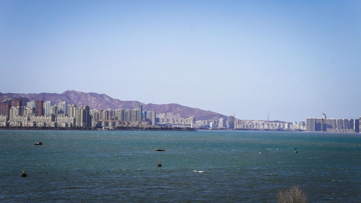 天鹅和海鸥都来了