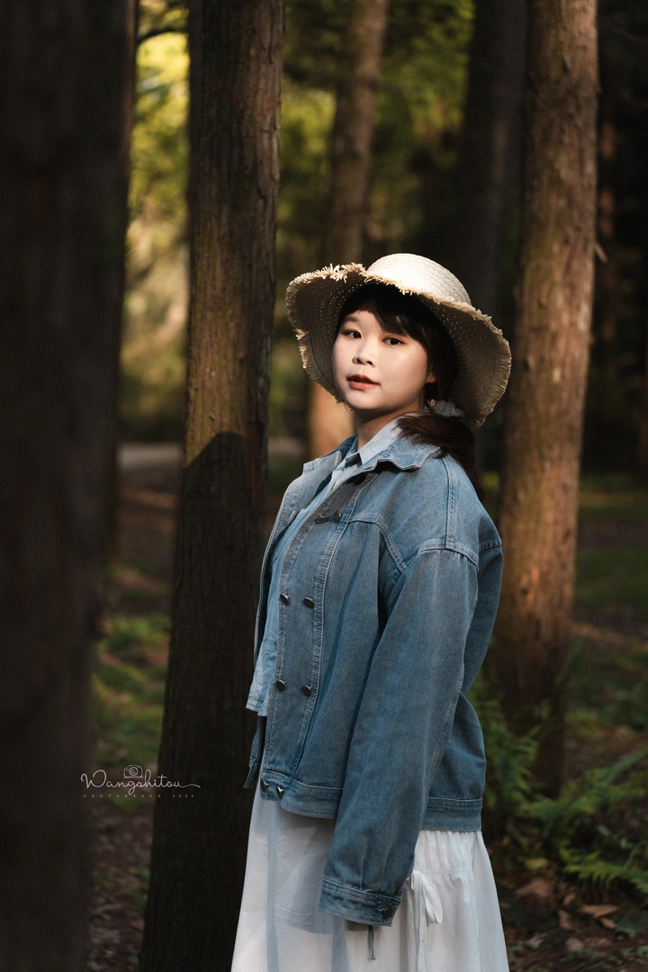 森林·你和光