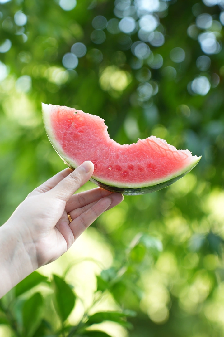 一口夏天的西瓜🍉
