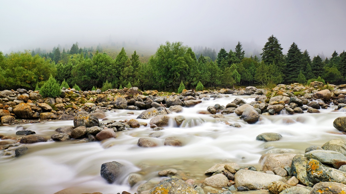 一条河流流经岩石 背景中有树木和雾气。