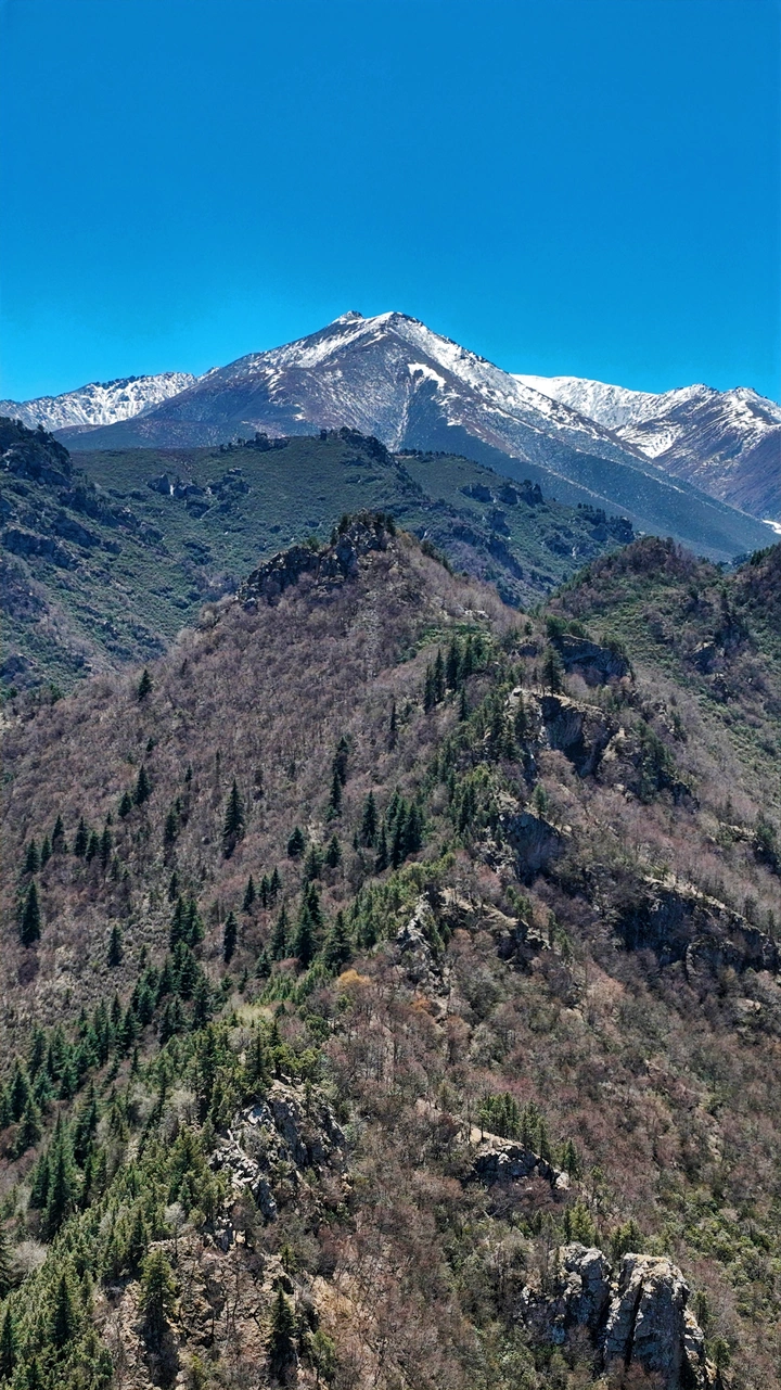 复苏｜祁连山国家公园