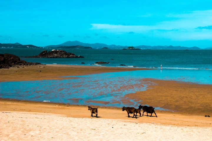 海滩漫步