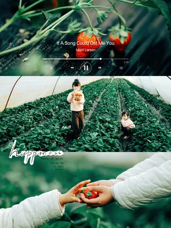 一位女孩在花园里拿着一束番茄