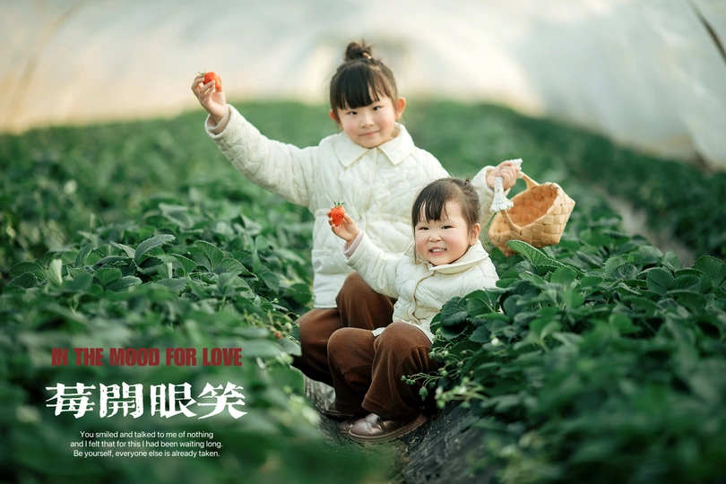 一个小女孩在草地上抱着一个小孩