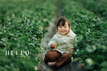 一个小女孩坐在草莓田里的草地上