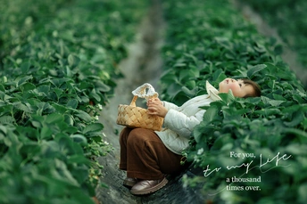 一个小女孩坐在田地里的豌豆行中 手里拿着一个装有洋娃娃的篮子。